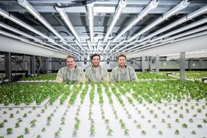 Das Spin-off der ETH Zürich Yasai wurde im Januar 2020 durch die Halbbrüder Mark E. Zahran und Stefano Augstburger aus Bern und ihrem Kollegen Philipp Bosshard aus Zürich gegründet, mit Unterstützung der Fenaco.