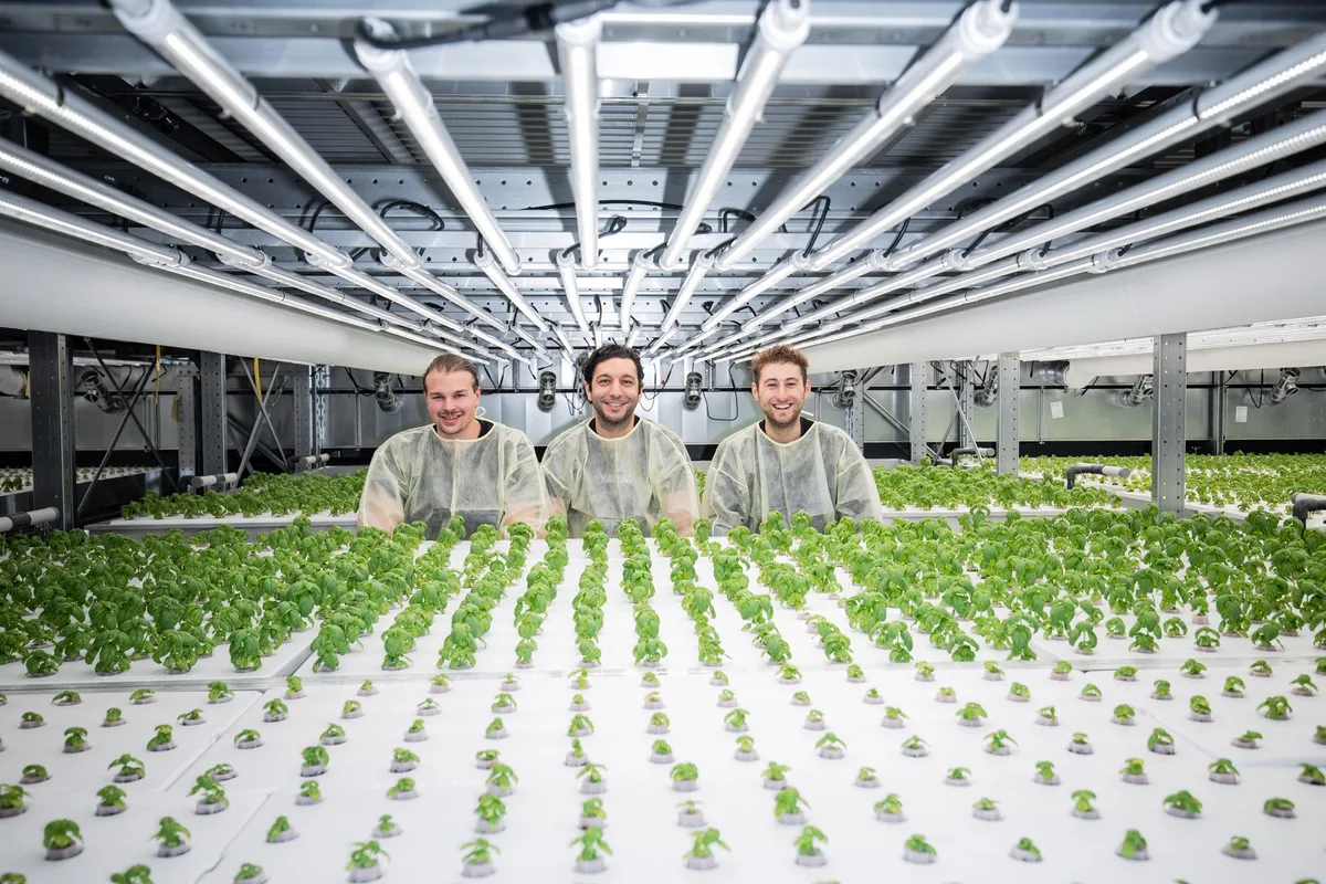 fenaco_mm_220124_yasai-gruendungstrio Das erste Vertical-Farming-Basilikum kommt in Coop-Regale