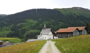 Werden die Wildschäden zu gross, kann sich der Wald nicht verjüngen und die Schutzwaldfunktion geht verloren. (Bild ji)