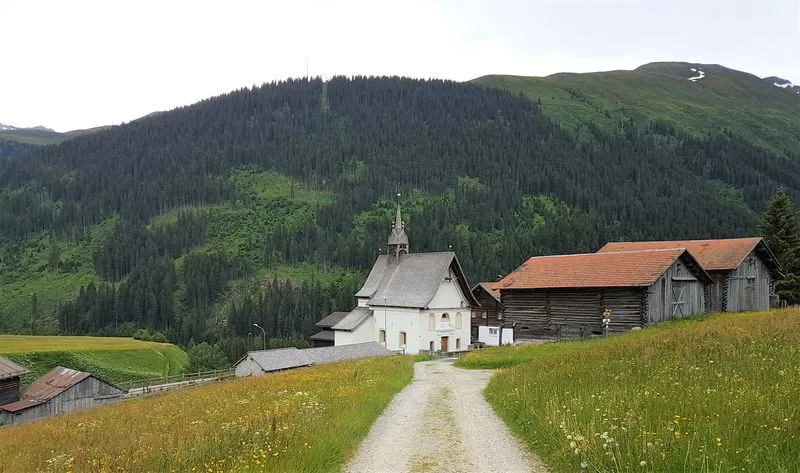 Werden die Wildschäden zu gross, kann sich der Wald nicht verjüngen und die Schutzwaldfunktion geht verloren. (Bild ji)