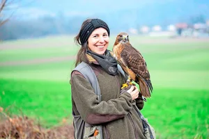 Annika Bütschi und ihr Rotschwanzbussard Aki sind ein eingespieltes Team.