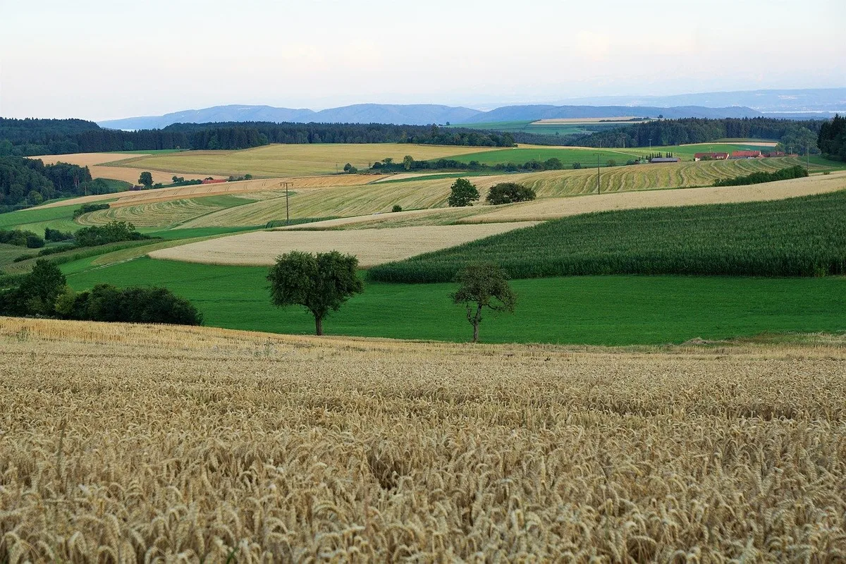 2b3ed4990ea382c910909cf7989312c180f50cca Die Abstimmung habe gezeigt, dass alle Beteiligten das Ziel einer nachhaltigere Landwirtschaft erreichen wollen. (Bild Pixabay)