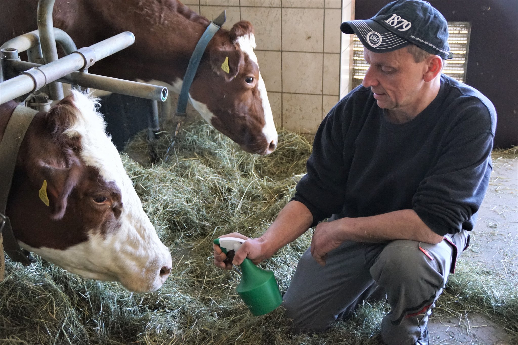 Landwirt Reto Eisenhut setzt auf Homöopathie
