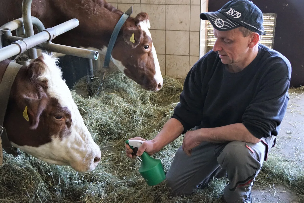 Landwirt Reto Eisenhut setzt auf Homöopathie