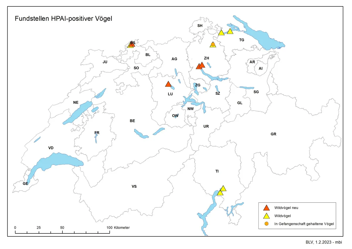 Zwei neue Fälle von Vogelgrippe im Kanton Zürich