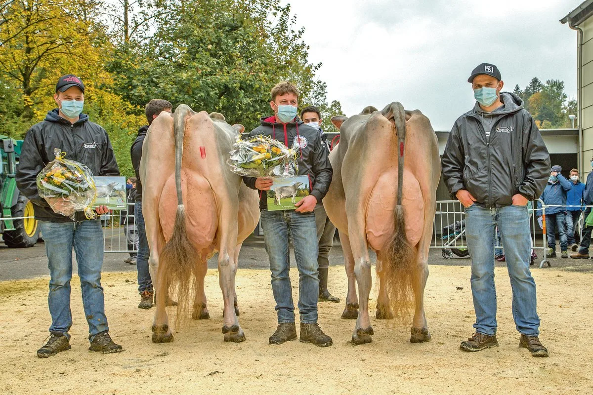 f65d5ecc488490bda0b4f7f9582a6c80995f559b Jongleur Silvana (rechts), Grandchampion BS Eliteschau Entlebuch und Vize Jongleur Soraya. Mit Maske die Champion-Besitzer Pascal Felder, Franz Felder, Koni Pfulg (v. l. n. r.).(Bild Hugo Studhalter)