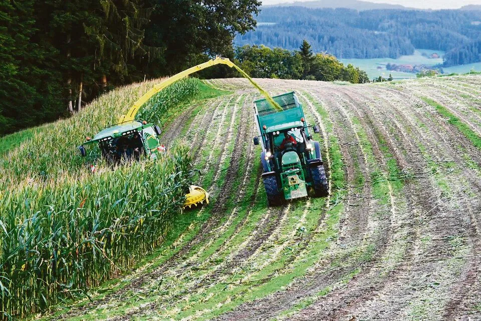2750f738703d7e8f127e298edba6ec0b9a11cb640ac508a0eab1616cd2c77723 Vorteile des «Stalkbusters»: Die durch das Zerschlagen der Stoppeln entstandenen Pflanzenreste verrotten schneller und besser, zudem erleichtern sie damit die nachfolgenden Bodenbearbeitungen.
