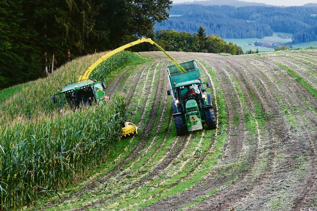 ae53cac5eb59bd74e561aea44f329bd1856df3ad Auch im hügeligen und steilen Gelände funktioniert der John-Deere-Maishacker einwandfrei. Mit dem Maishacker vom Team Röthlisberger fährt nur einer, nämlich Hanspeter Brügger, genannt «Hubu».(Bilder Jasmine Baumann)