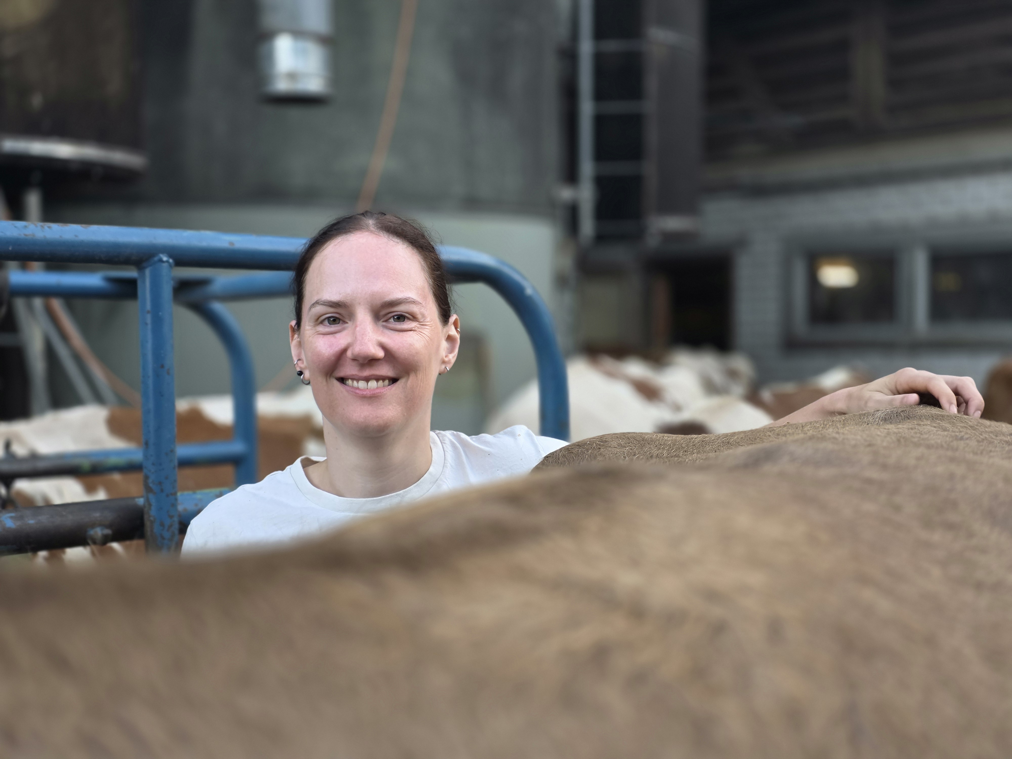 Sonja Turtschi will Tierärztin werden und hat freiwillig ein dreiwöchiges Praktikum absolviert. Ab Herbst 2026 ist das in der Schweiz Pflicht.