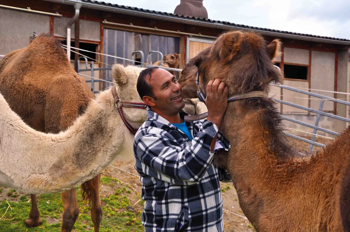 cd3789088949f110d5a6d1e3a550a02554353baf Die Kamelfarm hat Kamel Ben Salem 2004 gegründet, vier Jahre nach seiner Ankunft in der Schweiz. (Bild Tamara Wülser)