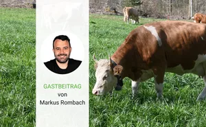 Dank Kühen kann die Schweiz aus sonst unproduktivem Grasland Proteine für den Menschen gewinnen.
