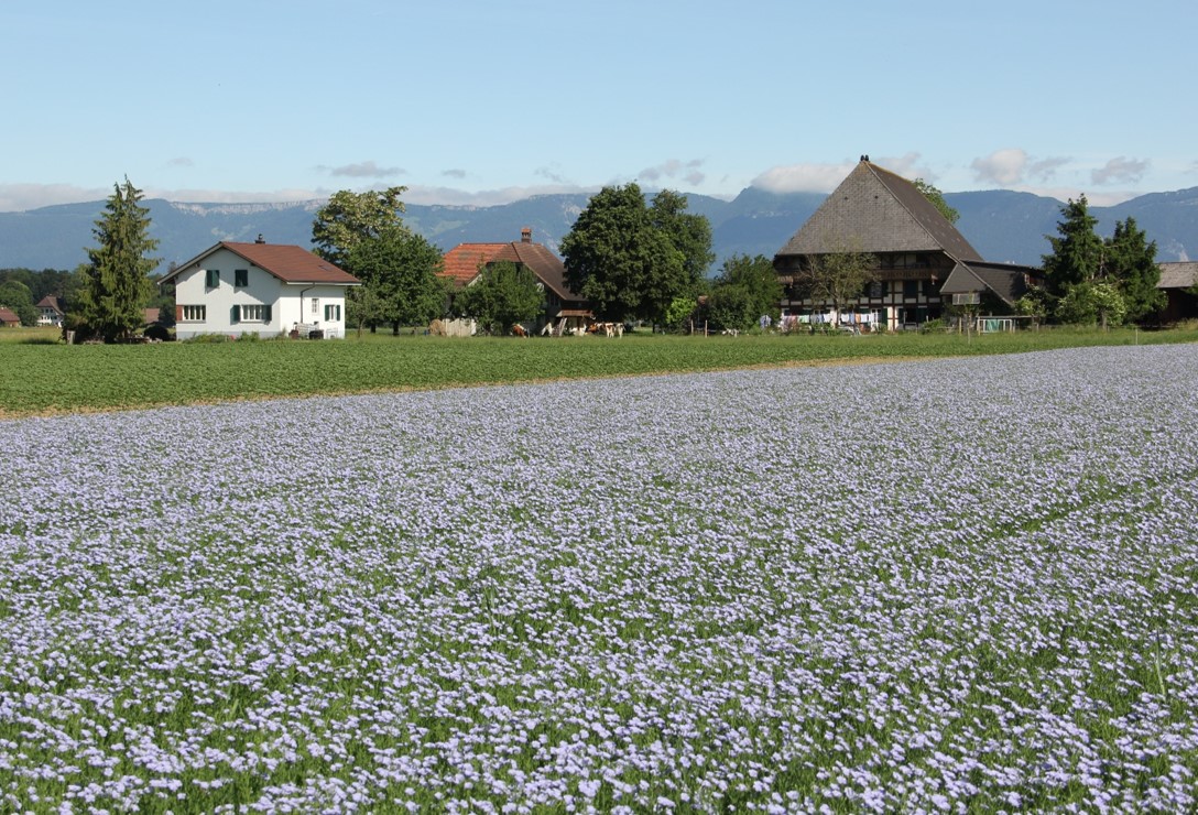 Biofarm-Produzentinnen und -Produzenten tauschten sich aus