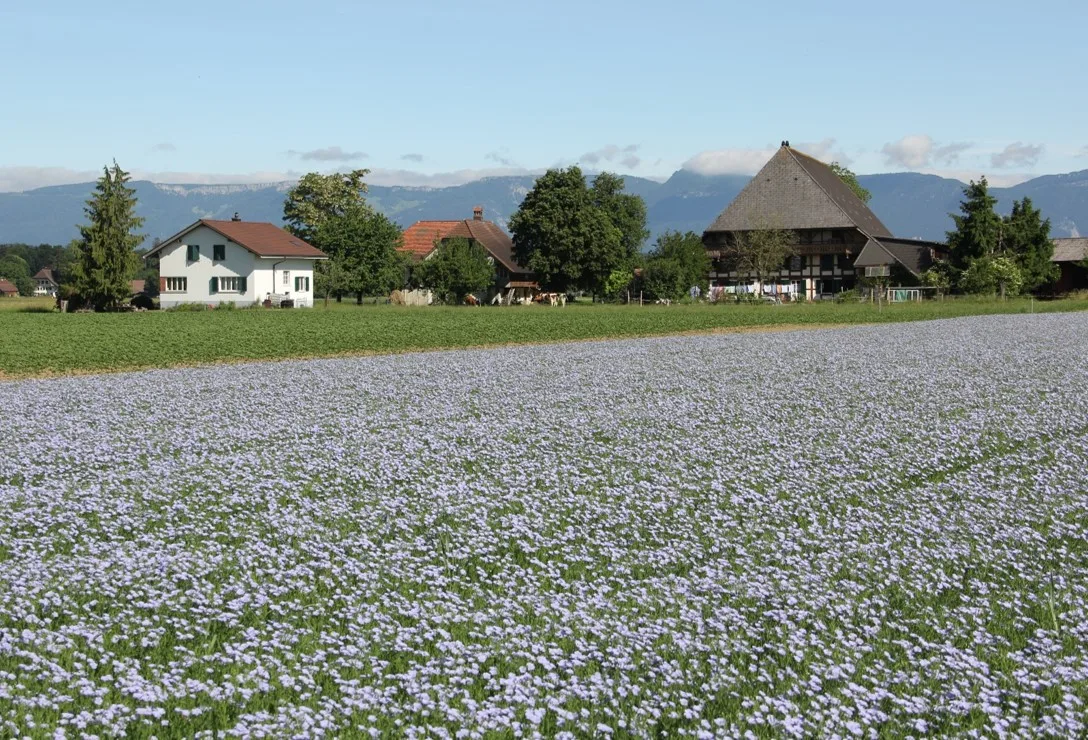 LeinPreisig Biofarm-Produzentinnen und -Produzenten tauschten sich aus