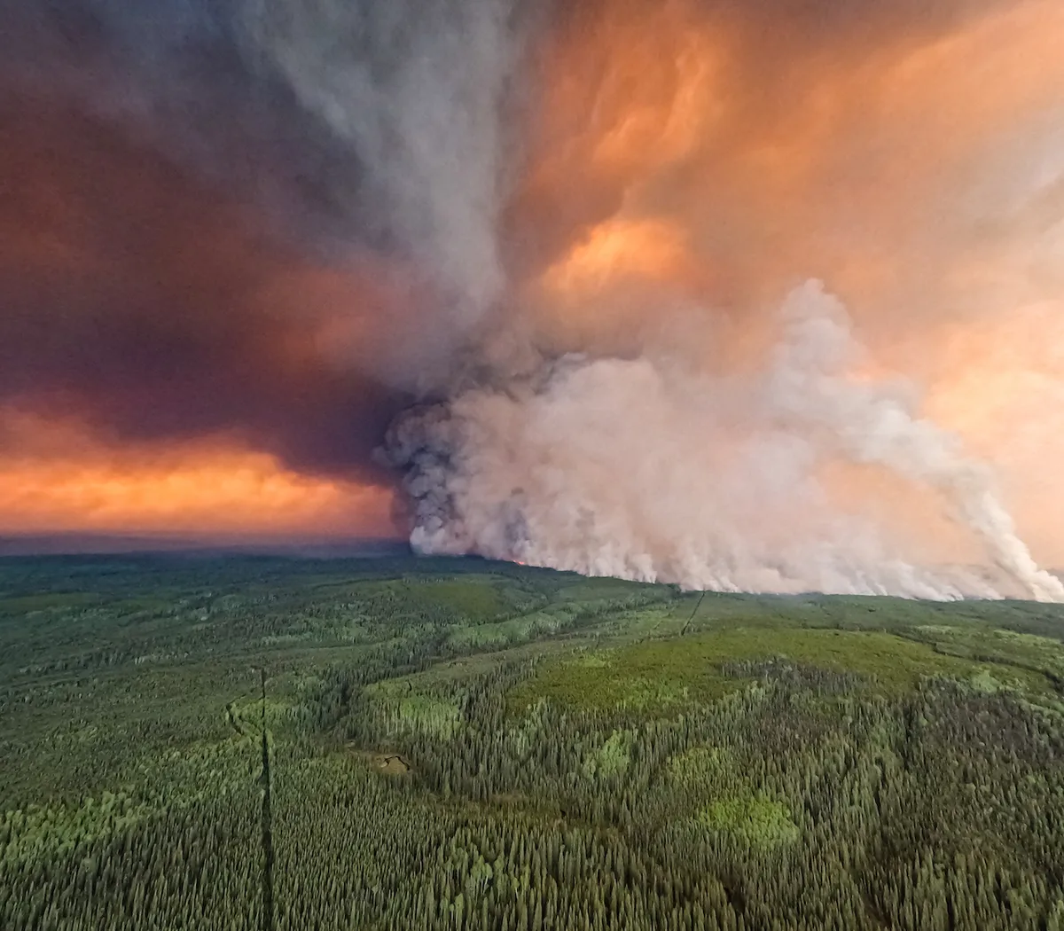 das-trockene-wetter-der-wind-und-die-groesse-des-brandes-erschweren-die-arbeit-der-feuerwehr-bc-wildfire-service In Kanada verbrennen auf Millionen von Hektaren Lebensräume und Existenzen