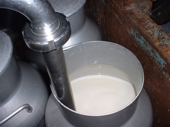 Preisabschläge für Milchpulver