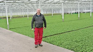 Der Alltag mit zunehmenden Vorschriften und abnehmenden Möglichkeiten im Bereich Pflanzenschutz wird schwieriger. Dennoch hat Thomas Wyssa, hier in einem seiner Gewächshäuser stehend, in dem Nüssler wächst, das Lachen nicht verloren.