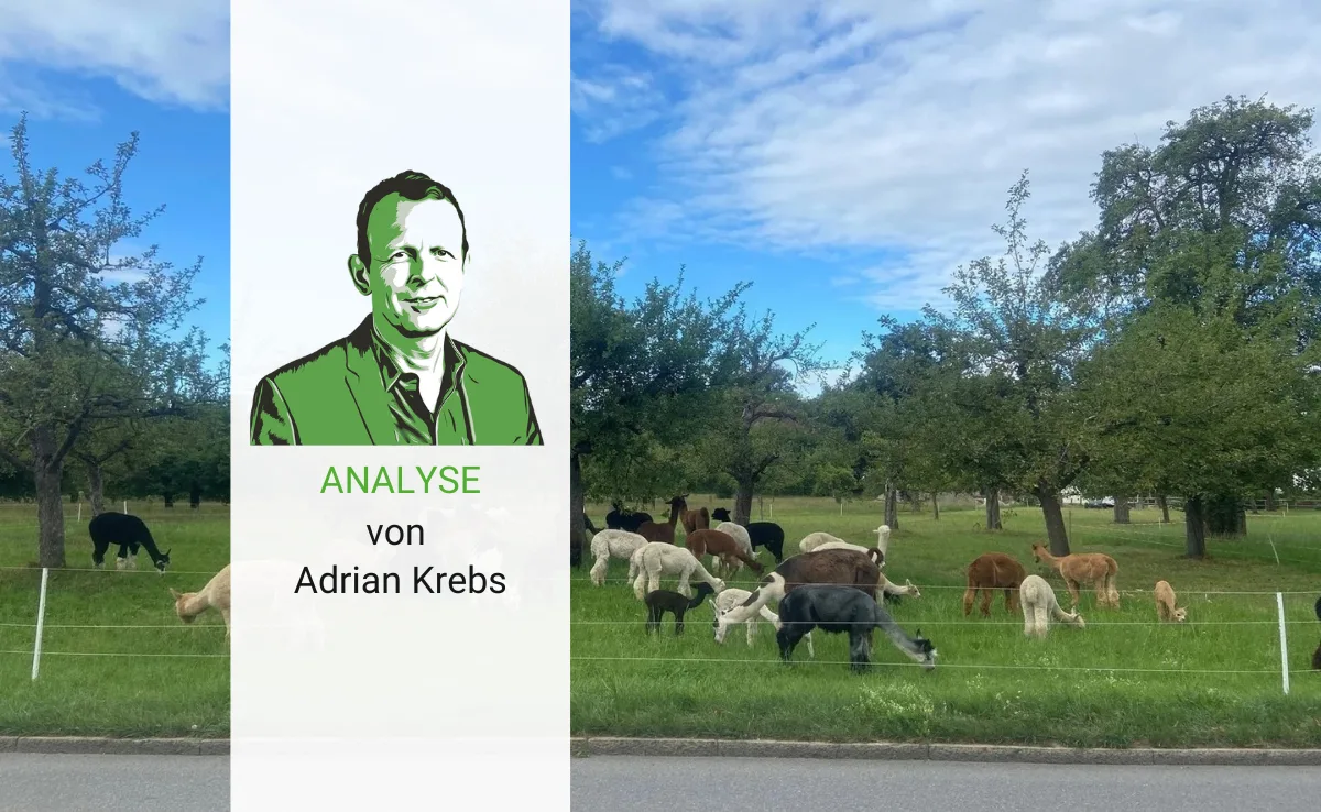 Im Herbst sollte man bürgerlich-bäuerlich wählen, aber nicht nur