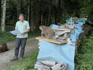 Förster Ruedi Lengweiler mit einem Biberpräparat: Zwar gibt es in dem Waldstück lebendige Biber, diese liessen sich jedoch an der öffentlichen Begehung nicht sehen.