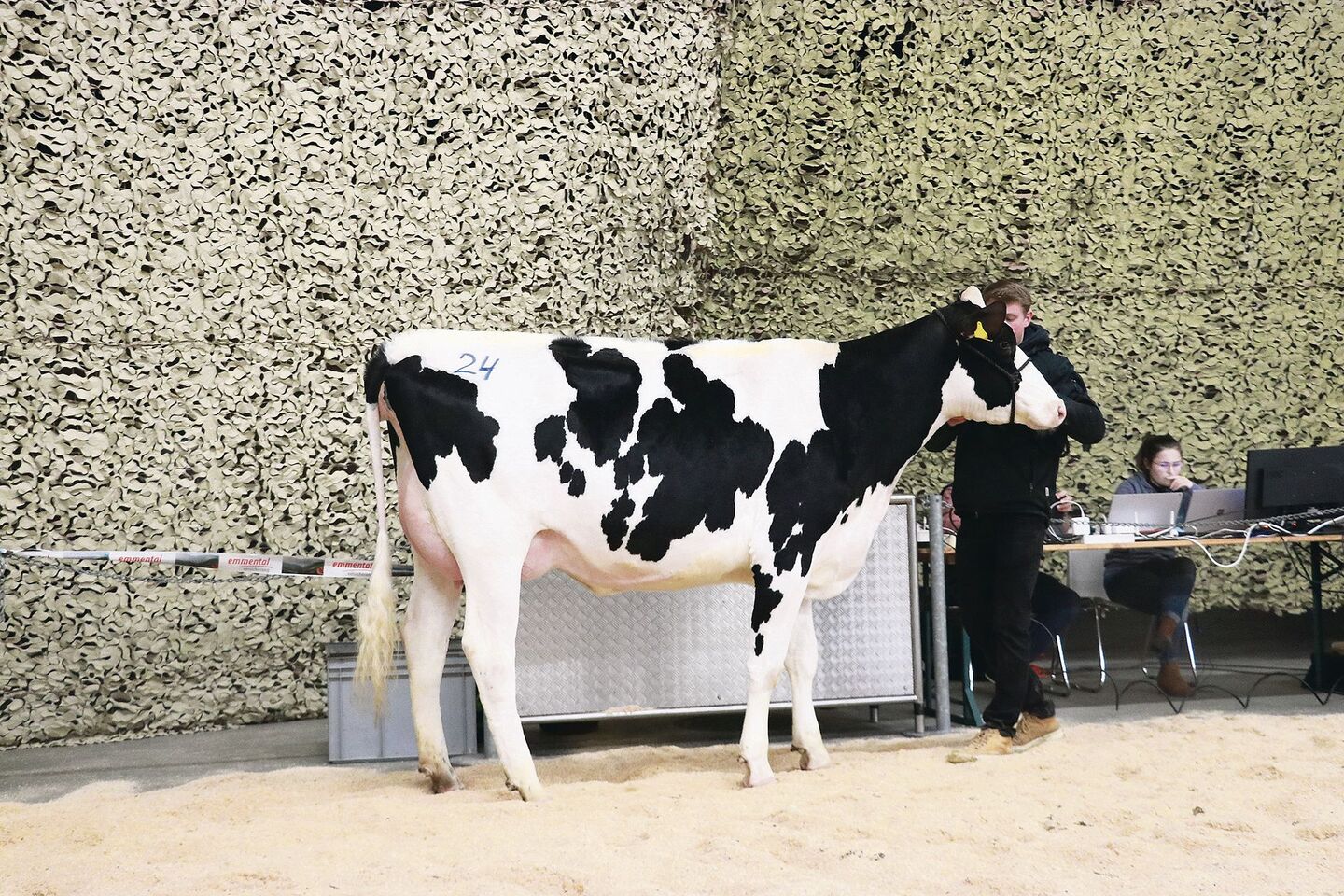 Stefan Käser verkaufte etliche Tiere im Elitesegment, seine Kingpin-Tochter Lisa galt 5750 Franken.