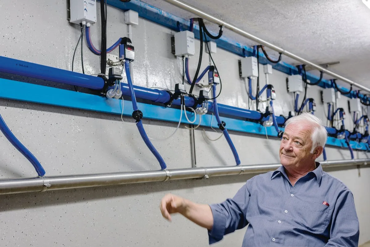 9478f6367c06e0ff4450d617943b3f9027966020 Robert Hess im Keller: Die Anlage für seinen Melkstand ist unterirdisch verlegt und sorgt für Ruhe im Melkstand. Allerdings hat Hess seit dem Umbau Probleme mit der Melkbarkeit, die Leistung seiner Kühe ist eingebrochen. (Bild hja)