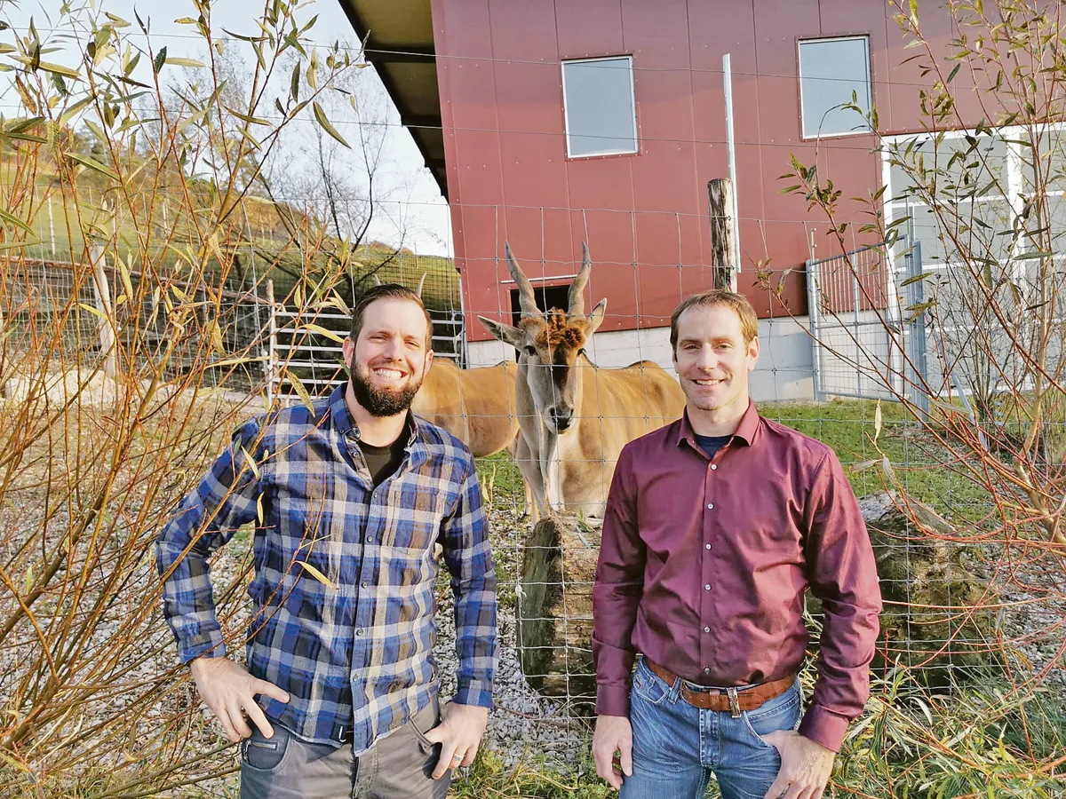 7c0aa570bce73219a1a5b8ab1145a42952199874 Marco Jäger (links) und Christoph Kläusler (rechts) halten Elenantilopen und setzten auf Tierwohl und Direktvermarktung. Das fett- und cholesterinarme Fleisch lässt sich bisher ausserordentlich gut verkaufen. (Bilder Hans Rüssli)