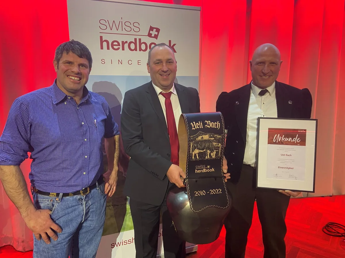 Adieu Schärz und ein Emmentaler Kompromiss: Swissherdbook wählt neues Vorstandsmitglied