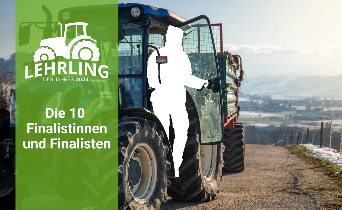 «Lehrling des Jahres 2024»: Die zehn Finalistinnen und Finalisten stehen fest