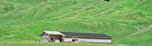 Auf dem Dach des neuen Alpgebäudes der Familie Betschart wurde eine 400 Quadratmeter grosse Photovoltaikanlage installiert.