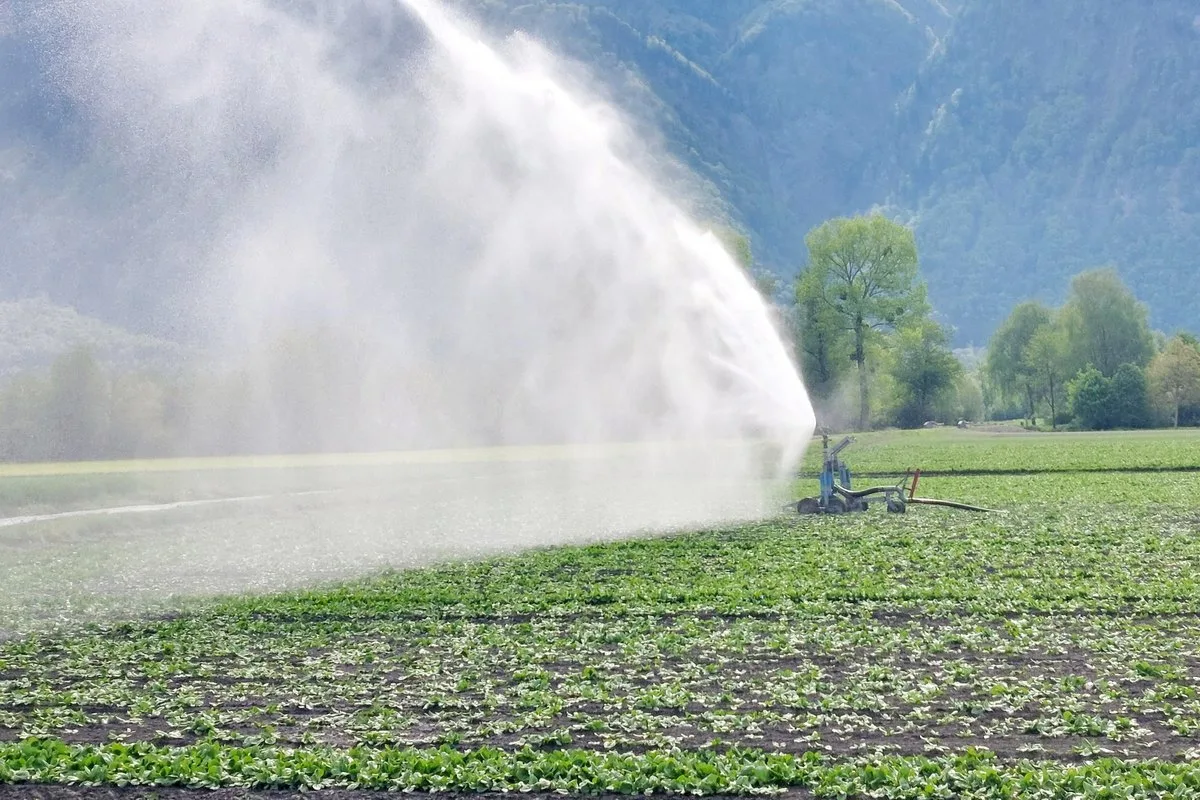 OS_2Sommerserie_csm_bws-einweihung-titel_0f02f4ece8 Bewässerungsprojekt Wartau: 25 Landwirte profitieren