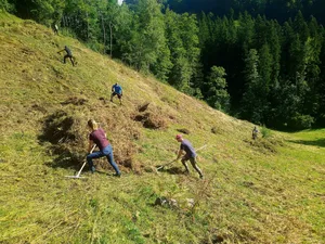 Die Pflege der Grenzertragsflächen, wie hier auf dem Brandberg, ist mit viel (Hand)-Arbeit verbunden.
