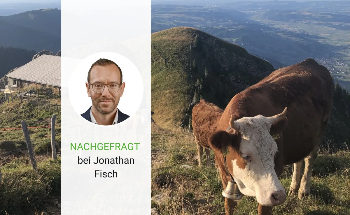 Das BLW über die Umzonung: «Wie viele Alpgebiete von einer Änderung in der Zonenverordnung profitieren könnten, ist unklar»
