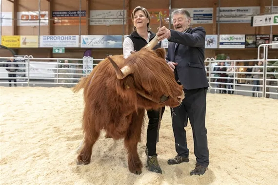 08c83611a763a00c1cb30b40d6bae543eaec6b74 Die Rassensiegerin Caroline ist nicht leicht zu bändigen. (Bild zVg)