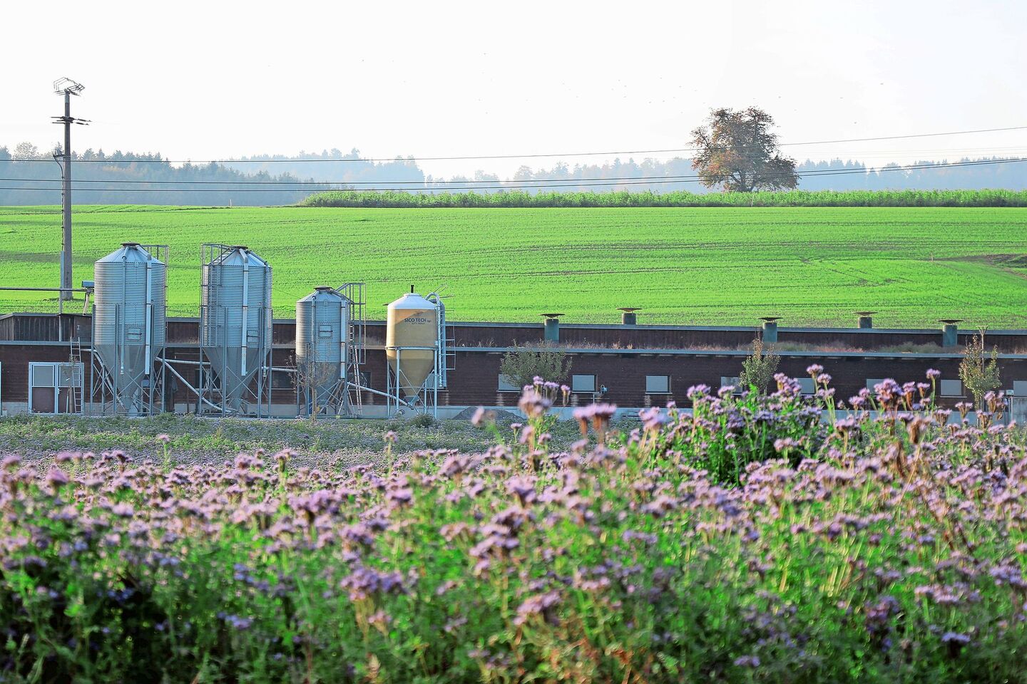 Verschiedene Organisationen sollen künftig Smartfarm nutzen können, jedoch jeweils nur auf gewisse «Silos» – also Daten – zugreifen können.