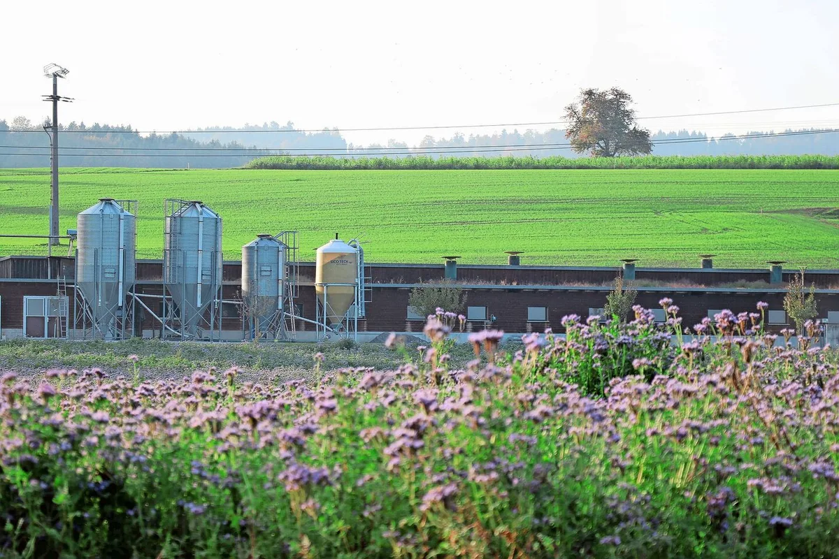 12992ad9a904539b250807c916d588540feab8403fcb30f055c280af8ee560f8 Verschiedene Organisationen sollen künftig Smartfarm nutzen können, jedoch jeweils nur auf gewisse «Silos» – also Daten – zugreifen können.