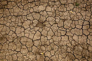 Der Klimawandel zeigt sich ganz unterschiedlich, unter anderem mit Trockenheit und Dürre.