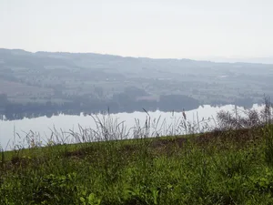Der Luzerner Regierungsrat will weniger Phosphor im Baldeggersee (Bild), Hallwilersee und Sempachersee. Mit den verordneten Massnahmen sind nicht alle Betroffenen einverstanden.(Bild BauZ)