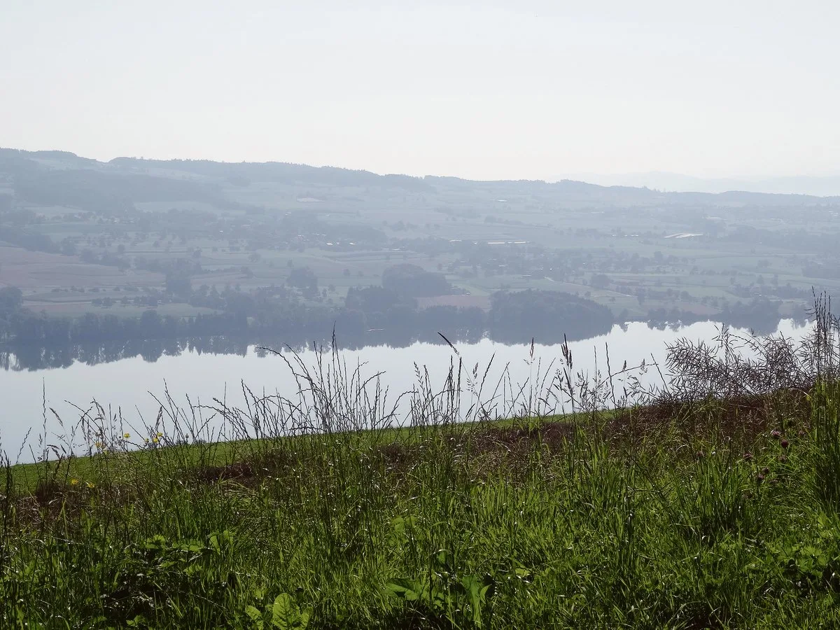 Der Luzerner Regierungsrat will weniger Phosphor im Baldeggersee (Bild), Hallwilersee und Sempachersee. Mit den verordneten Massnahmen sind nicht alle Betroffenen einverstanden.(Bild BauZ)