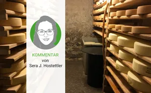 Der mikrobiologische Probenplan für Alpkäseproduzentinnen und -produzenten ist ab sofort angepasst.