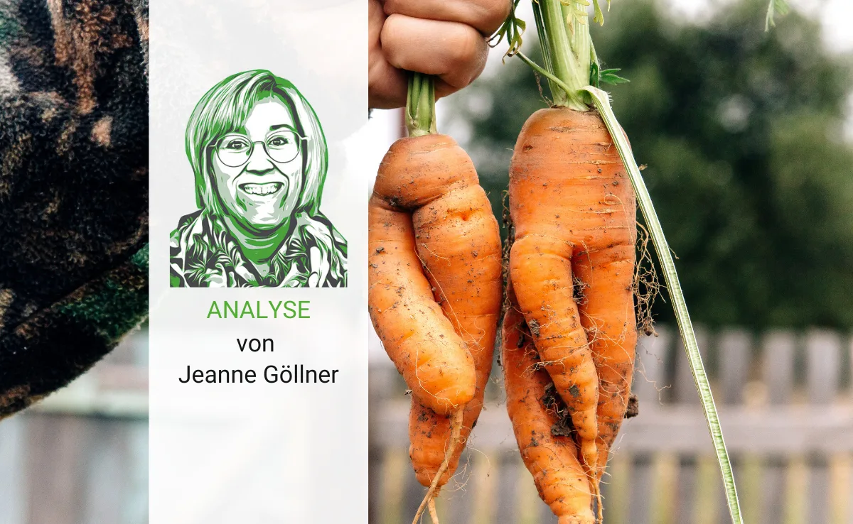 Artikel_Analyse_BauZ_GoellnerRueebli Food Waste: Wer macht eigentlich was dagegen?
