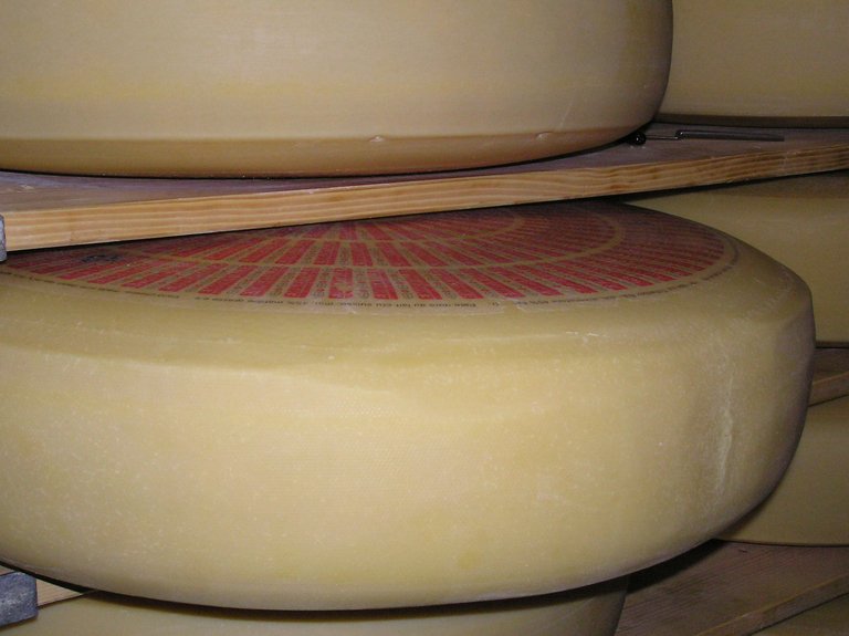 (Bild lid)