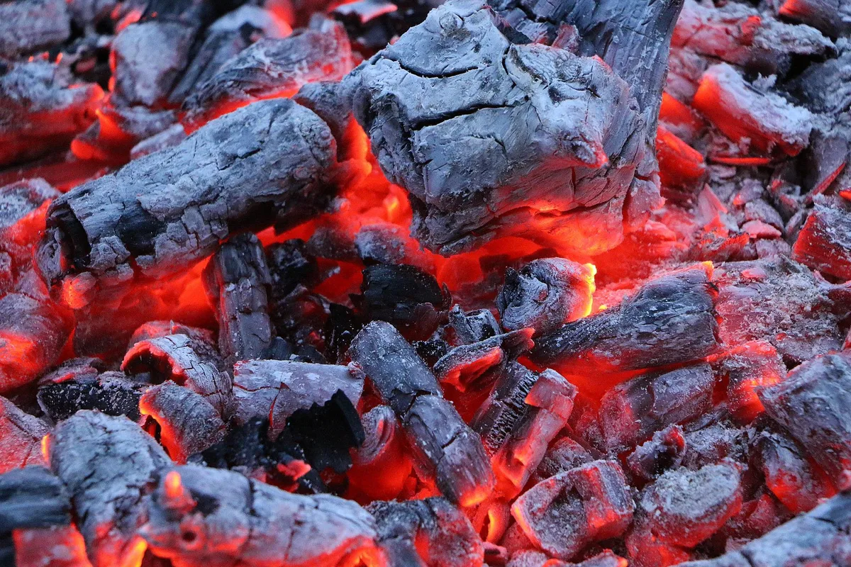 Die Oberallmeindkorporation Schwyz produziert nachhaltige Grill-Kohle in der Schweiz
