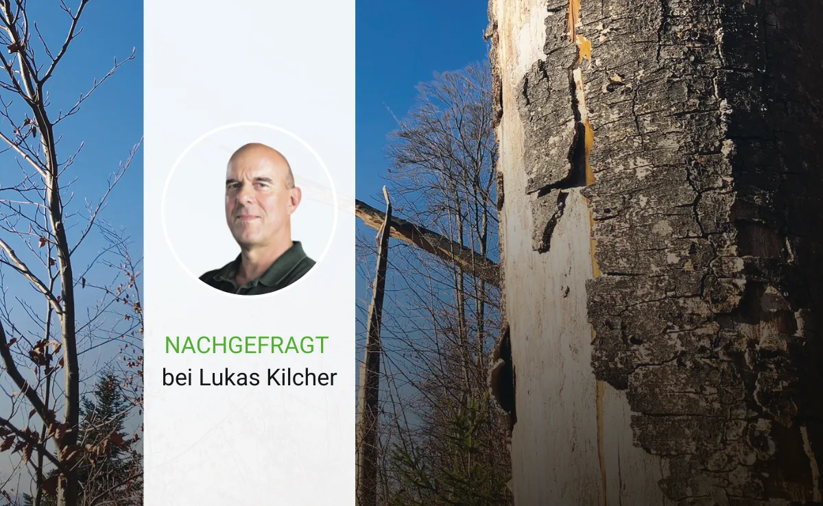 Artikel_Nachgefragt_BauZ «Bildungspläne sind träge Kompromisse»