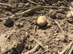 Auch nach den Abstimmungen vom 13. Juni 2021 wird der Druck auf die Landwirtschaft bestehen bleiben, ist Ruedi Fischer überzeugt. (Bild BauZ)