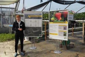 Carole Werdenberg legt dar, welche Herausforderung es bei der Substitution von herkömmlichen Pflanzenschutzmitteln im Beerenbau zu meistern gilt.(Bilder Christian Weber)