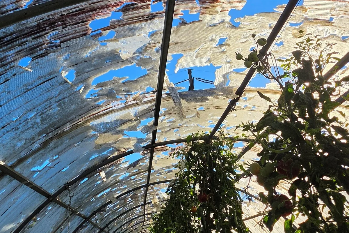 Gartenbau Schaden 2026 1.jpg Das Jahr 2026 hat verheerende Unwetterschäden gebracht. Solche Ereignisse werden immer häufiger.