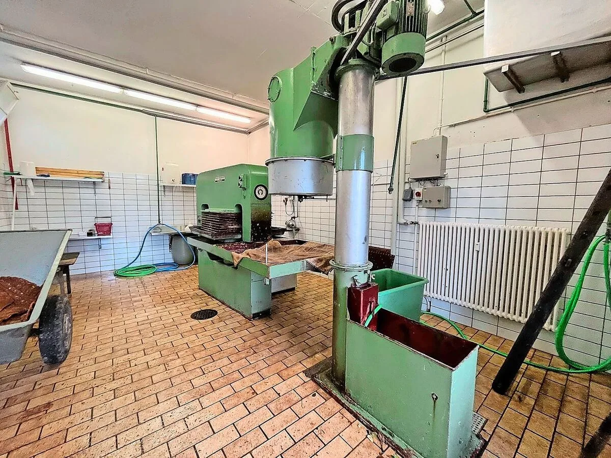 b38e67d31b96ee6b8c9c1d952fc0678ed81c3363b762ea5a169be40964fb69c6 Enea Zimmermann packt mit an, wenn aus Äpfeln süsser Saft wird