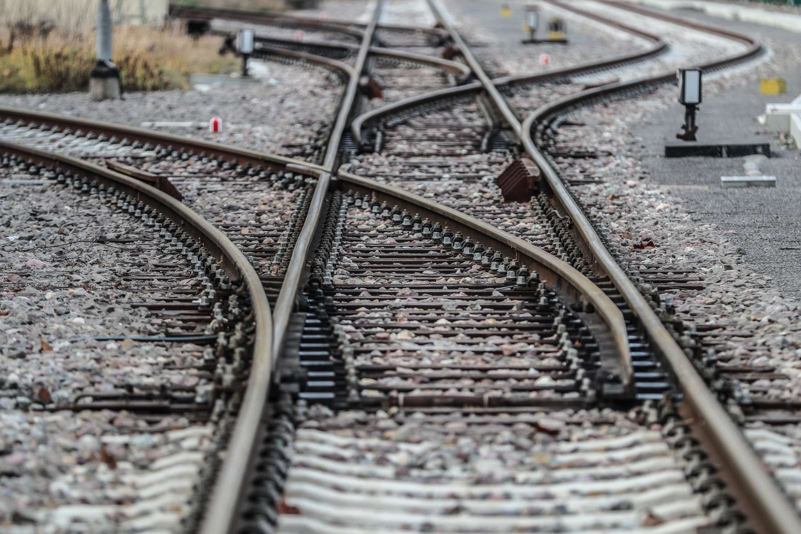 Weniger Unfälle mit Nutztieren und Zügen