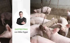 Der Fleischfachmann Mike Egger vertritt die SVP des Kantons St. Gallen im Nationalrat.