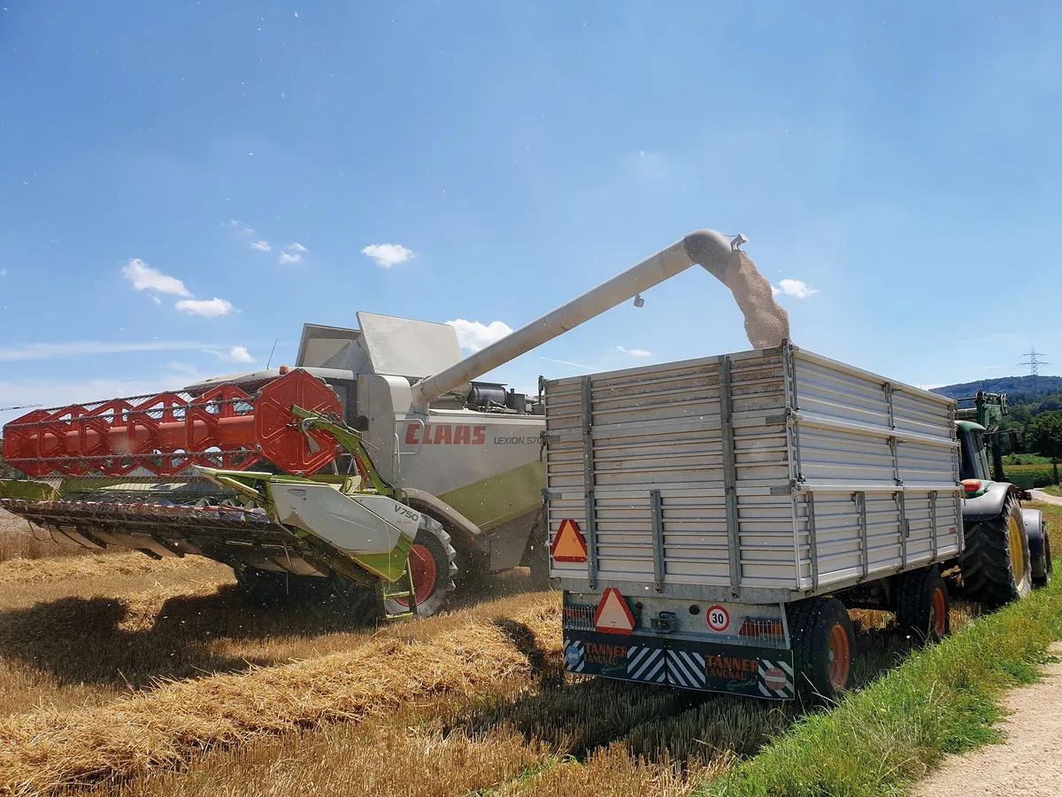 44ec82f72dda33c72a85f71db1deb758219492df Kaufen Landwirte zusammen zum Beispiel einen Mähdrescher, ist die Auslastung besser und die Maschinenkosten sinken. Doch die Besitzer haften auch gemeinsam, wenn die Maschine kaputt geht. Ruth Aerni/BauernZeitung