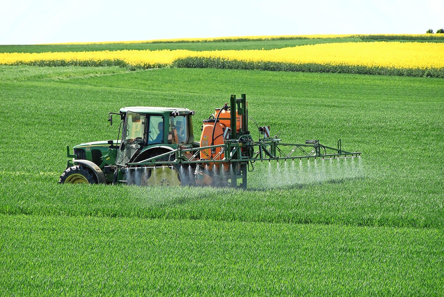 Der Zucker wird zusammen mit Stickstoff in Wasser gelöst und via Flüssigdüngung in den Weizen gespritzt.